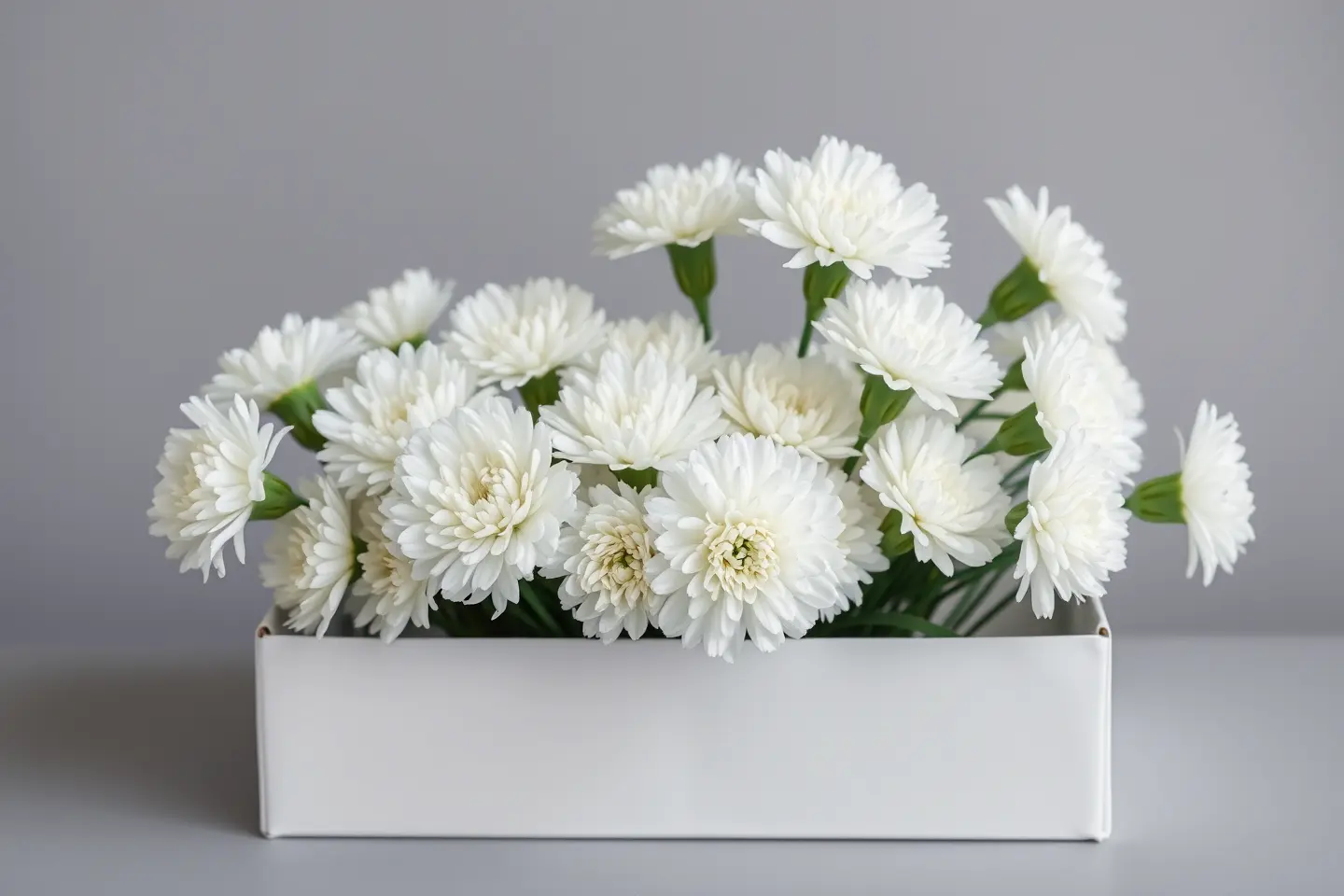 White Carnations